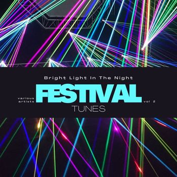 Various Artists - Bright Light in the Night (Festival Tunes), Vol. 2