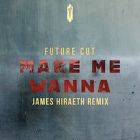 Future Cut - Make Me Wanna (James Hiraeth Remix)
