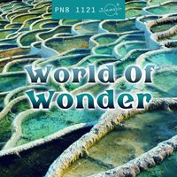 Plan 8 - World Of Wonder: Magical, Curious Nature