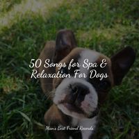 Dog Music Club, Calming Music for Dogs, Music For Dogs Peace - 50 Songs for Spa & Relaxation For Dogs