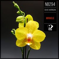 Dave Harrigan - Miracle