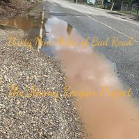The Jimmy Keegan Project - Thirty Nine Miles of Bad Road