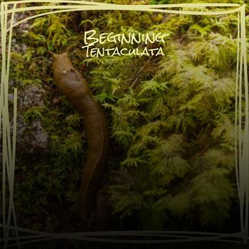 Various Artists - Beginning Tentaculata