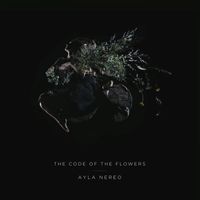 Ayla Nereo - The Code of the Flowers