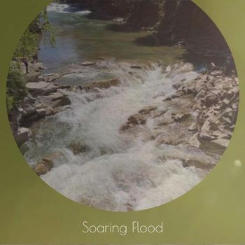 Various Artists - Soaring Flood