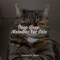 Music for Cats, Cat Music Experience, Cats Music Zone - Deep Sleep Melodies For Cats