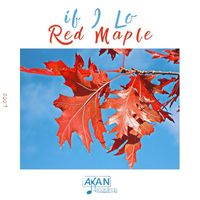 If I Lo - Red Maple