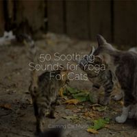 Music For Cats Peace, Calm Music for Cats, Official Pet Care Collection - 50 Soothing Sounds for Yoga For Cats