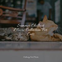 Music For Cats Peace, Calm Music for Cats, Official Pet Care Collection - Summer Chillout Music Collection For Cats