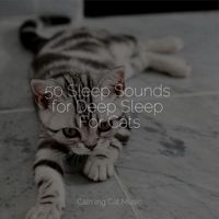 Music for Cats, Cat Music Experience, Cats Music Zone - 50 Sleep Sounds for Deep Sleep For Cats