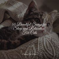 Music For Cats Peace, Calm Music for Cats, Official Pet Care Collection - 50 Beautiful Songs for Sleep and Relaxation For Cats