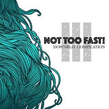 Various Artists - Not Too Fast! 3: Downbeat Compilation