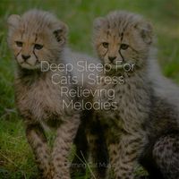 Music For Cats Peace, Calm Music for Cats, Official Pet Care Collection - Deep Sleep For Cats | Stress Relieving Melodies
