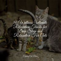 Music for Cats, Cat Music Experience, Cats Music Zone - 50 Wellness Ultimate Relaxation Tracks for Deep Sleep and Relaxation For Cats