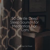 Music For Cats Peace, Calm Music for Cats, Official Pet Care Collection - 50 Gentle Deep Sleep Sounds for Meditation For Cats