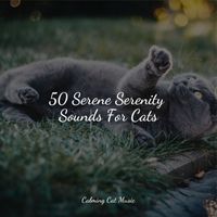 Music For Cats Peace, Calm Music for Cats, Official Pet Care Collection - 50 Serene Serenity Sounds For Cats