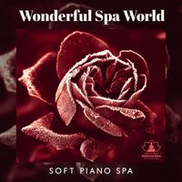 Mindfulness Meditation Music Spa Maestro - Wonderful Spa World: Soft Piano Spa, Emotional Healing Instrumentals, Winter Wellness, Soulful Spa Relaxation and Rejuvenation, Piano Stress Relief, Health Retreat, Mental Wellbeing
