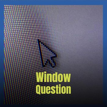 Various Artists - Window Question
