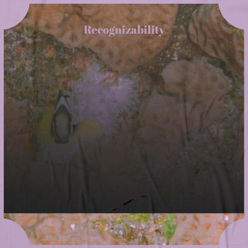 Various Artists - Recognizability