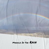 Various Artist - Miracle In The Rain