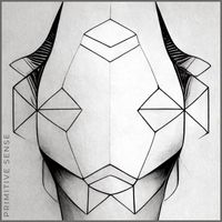 VIRE - Primitive Sense