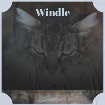 Various Artists - Windle