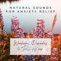 Anxiety Relief - Natural Sounds for Anxiety Relief: Wonderful Remedies to Fall Asleep