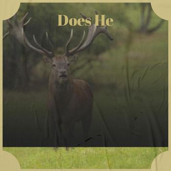 Various Artists - Does He
