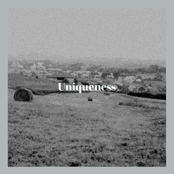 Various Artists - Uniqueness