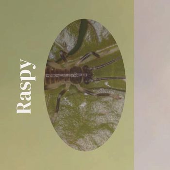 Various Artists - Raspy