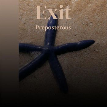 Various Artists - Exit Preposterous