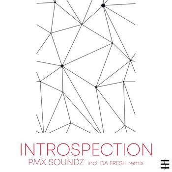 PMX Soundz - Introspection