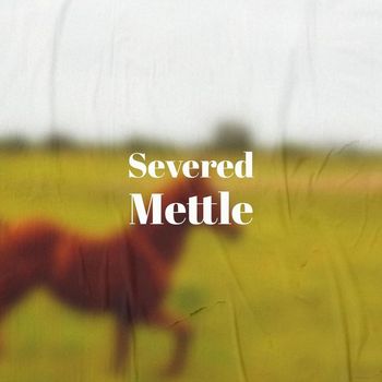 Various Artists - Severed Mettle