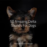 Dog Music Club, Calming Music for Dogs, Music For Dogs Peace - 50 Amazing Delta Sounds For Dogs