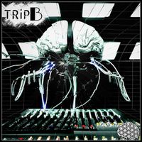 Trip B - WTFS