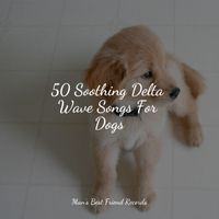 Relaxing Music for Dogs, Music For Dogs, Music for Dogs Collective - 50 Soothing Delta Wave Songs For Dogs