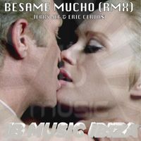 Terry Jee - Besame Mucho (Remix Edit)