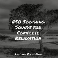 Spa Music Collective, Baby Sleep Music, Meditation - #50 Soothing Sounds for Complete Relaxation