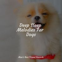 Relaxing Music for Dogs, Music For Dogs, Music for Dogs Collective - Deep Sleep Melodies For Dogs