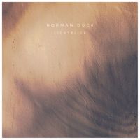 Norman Dück - Lichtblick