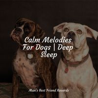 Dog Music Club, Calming Music for Dogs, Music For Dogs Peace - Calm Melodies For Dogs | Deep Sleep