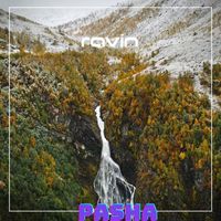 Pasha - Rovin