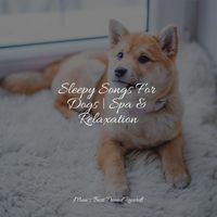 Relaxing Music for Dogs, Music For Dogs, Music for Dogs Collective - Sleepy Songs For Dogs | Spa & Relaxation