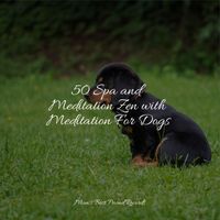 Dog Music Club, Calming Music for Dogs, Music For Dogs Peace - 50 Spa and Meditation Zen with Meditation For Dogs