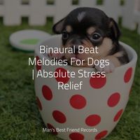 Relaxing Music for Dogs, Music For Dogs, Music for Dogs Collective - Binaural Beat Melodies For Dogs | Absolute Stress Relief