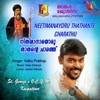 Vidhu Prathap - Neetimanayoru Thathante Charathu - Single