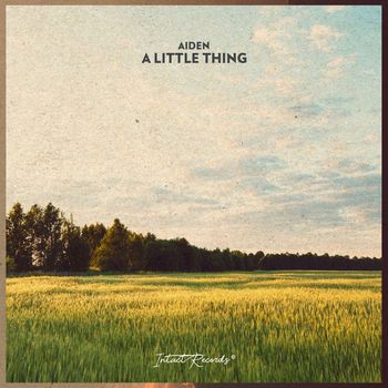 Aiden - A Little Thing