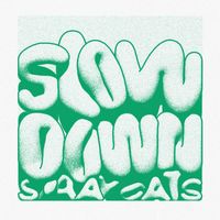Slowdown - Stray Cats