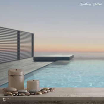 Various Artists - Wellness Chillout