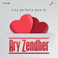 Ary Zendher - Eres Perfecto para Mí